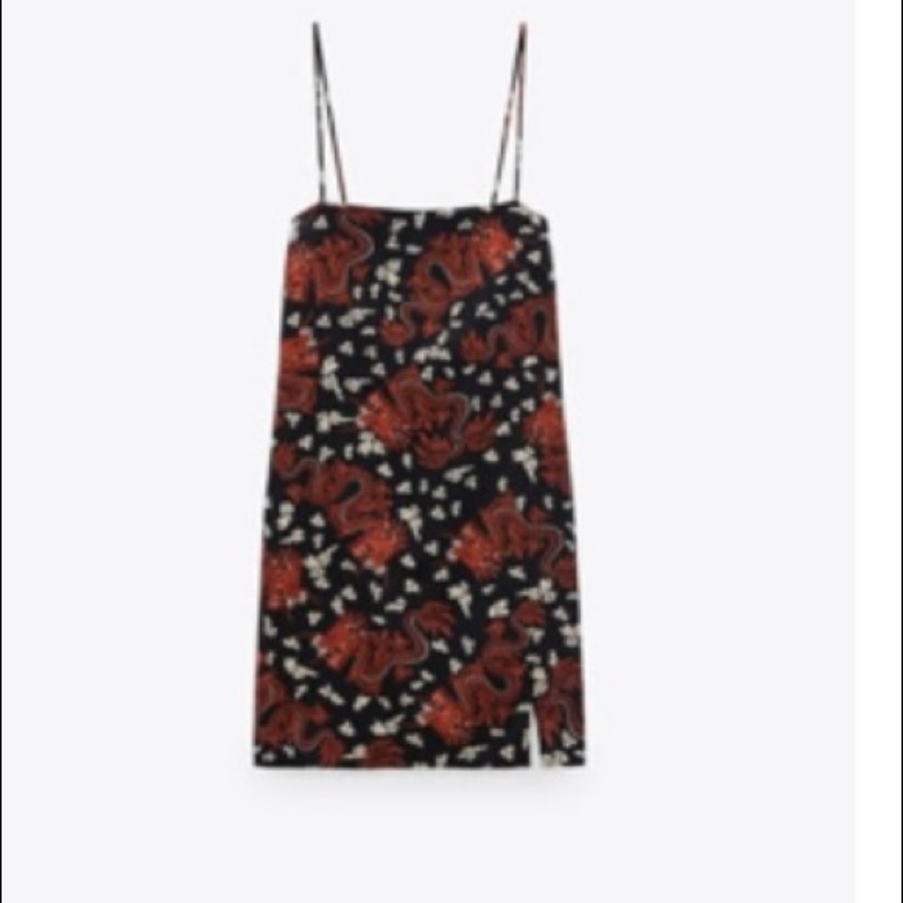 Zara dress